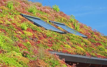 Over Langshaw living roof systems