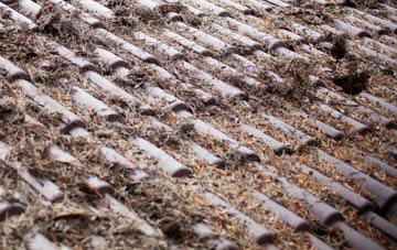 Over Langshaw roof cleaning companies