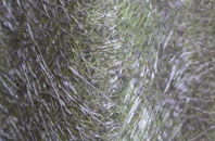 Over Langshaw fibreglass roof work